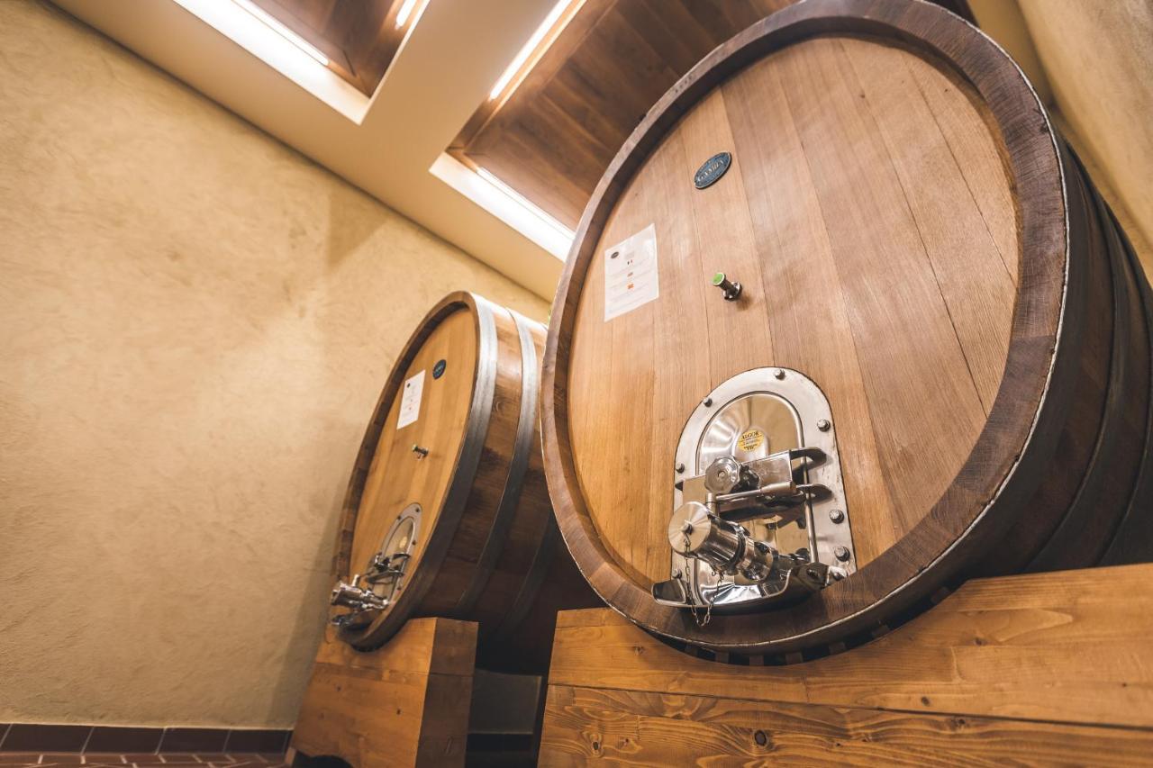 Agriturismo Le Anfore 사르티아노 외부 사진
